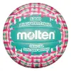 Molten V5B1300-CG beach volleyball