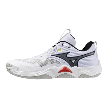 Mizuno Wave Momentum Elite indoor shoes V1GA2512-59