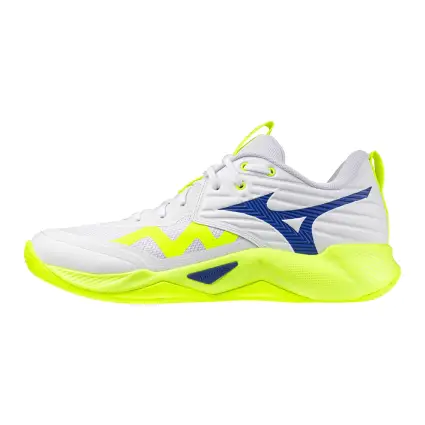 Mizuno Wave Momentum Pro обувки за зала V1GA2540-39