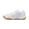 Puma Solarflash III women's indoor shoes 108145-02