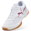 Puma Varion II indoor shoes 107341-12