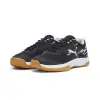 Puma Varion II indoor shoes 107341-01