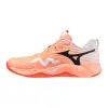 Mizuno WAVE MOMENTUM PRO indoor shoes V1GA2540-80