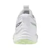 Mizuno WAVE MOMENTUM ELITE women's indoor shoes V1GC2512-85