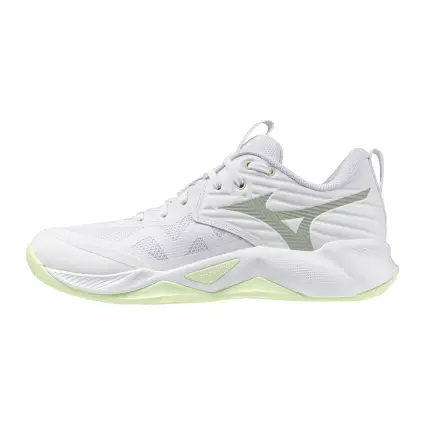 Mizuno WAVE MOMENTUM PRO women's indoor shoes V1GC2540-85
