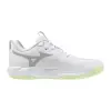 Mizuno WAVE MOMENTUM PRO women's indoor shoes V1GC2540-85