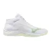 Mizuno LIGHTNING SELECT MID women's indoor shoes V1GC2675-85