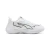 Puma Solarflash 4 junior indoor shoes 109095-02