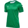 hummel hmlMATCH LEGEND JERSEYS SS