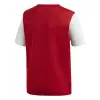 Adidas ESTRO 19 junior tshirt
