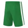 Erima RETRO STAR SHORTS