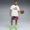 Puma La Francé RNR кецове 312274-04