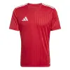 Adidas Campeon 25 Match jersey