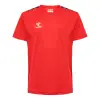 hummel HMLAUTHENTIC PL JERSEY S/S KIDS