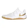 Nike HYPERSPEED COURT indoor shoes  DJ4476-170