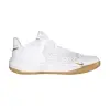 Nike HYPERSPEED COURT indoor shoes  DJ4476-170